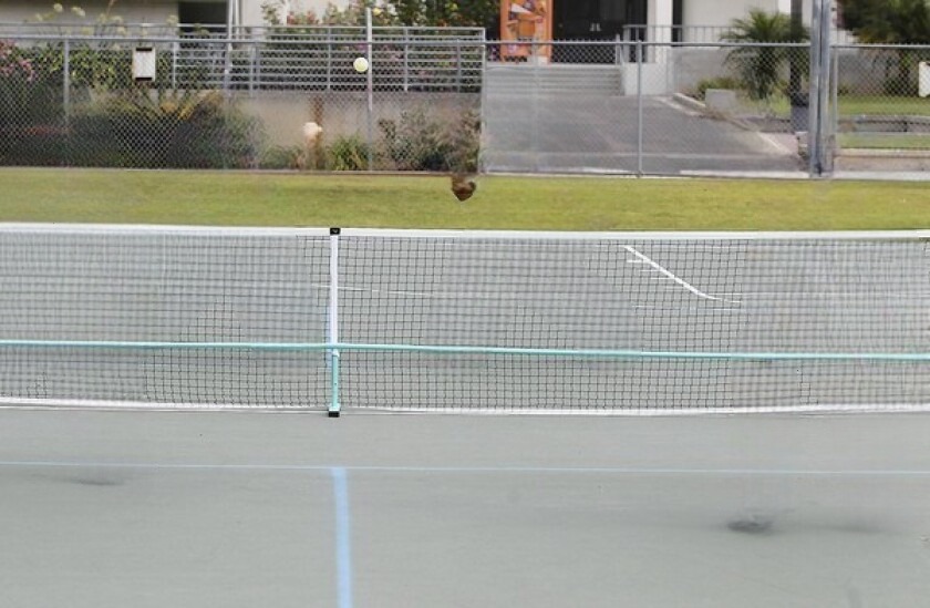 Cornishon Pickleball Court
