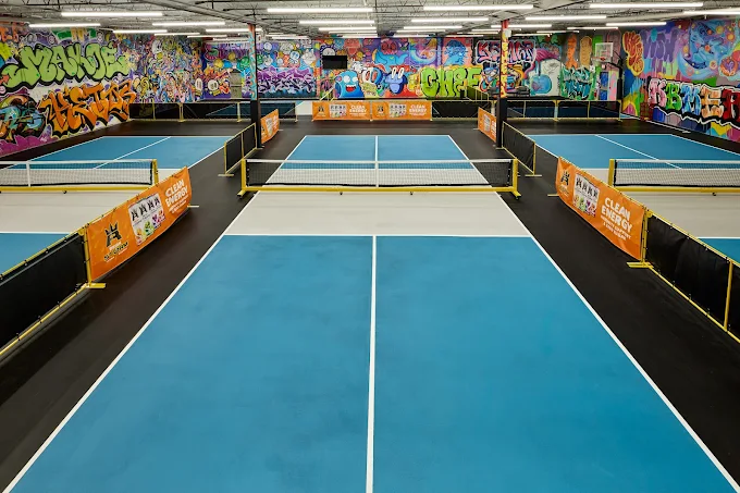 Toon Town Pickleball